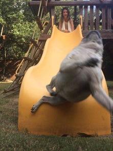 巴哥爆料新世界视频播放,新世界视频播放背后的秘密 第3张 巴哥爆料新世界视频播放,新世界视频播放背后的秘密 第3张