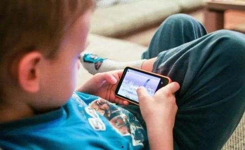 诈骗网红爆料案例最新,网络红人如何陷入陷阱，损失惨重  第1张